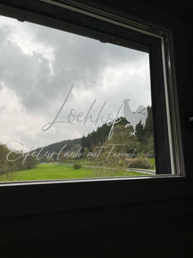 הוילה הלנתאל Lochhof Zwei - Eifelurlaub Mit Farmcharme מראה חיצוני תמונה